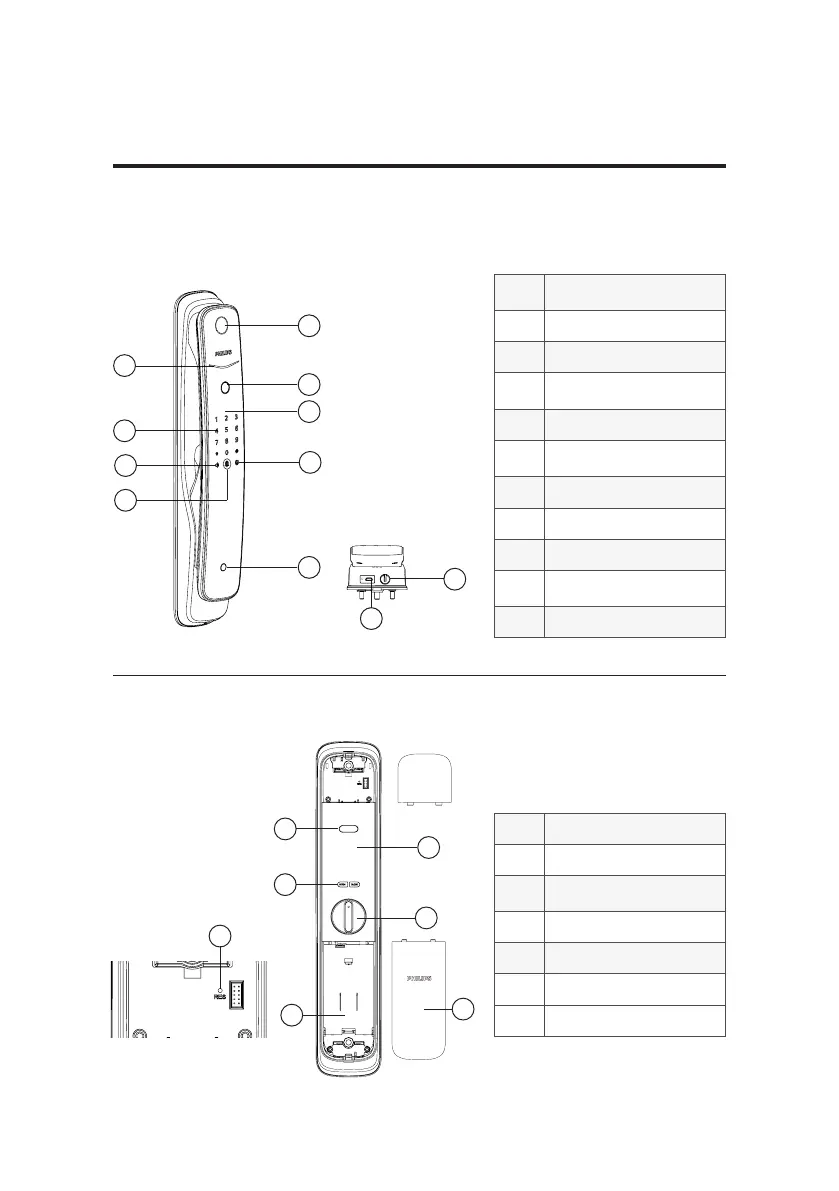 Page #10 background image