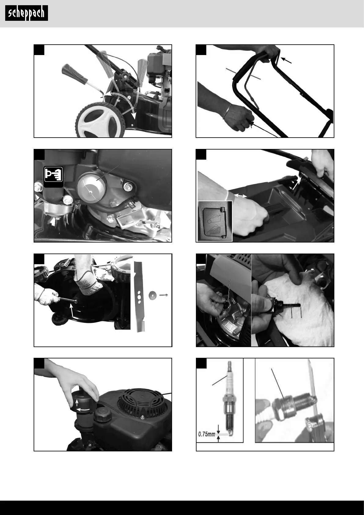 Page #4 background image