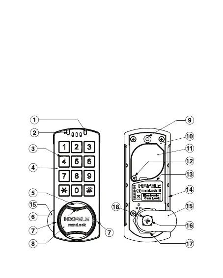 Page #12 background image