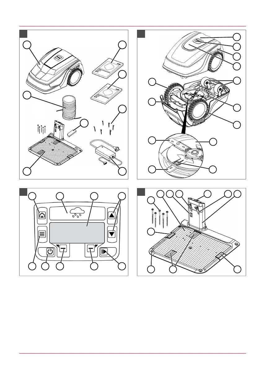 Page #3 background image