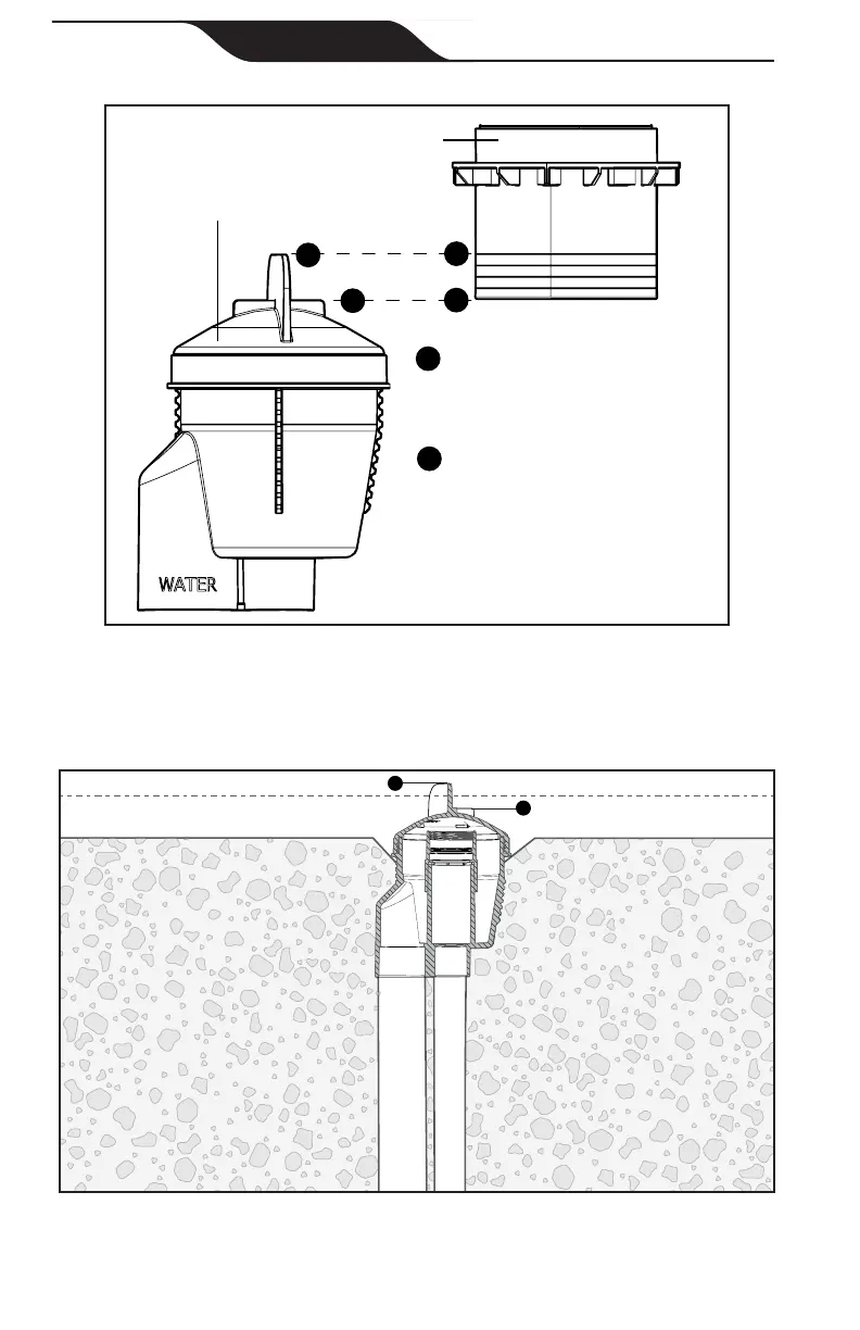 Page #8 background image