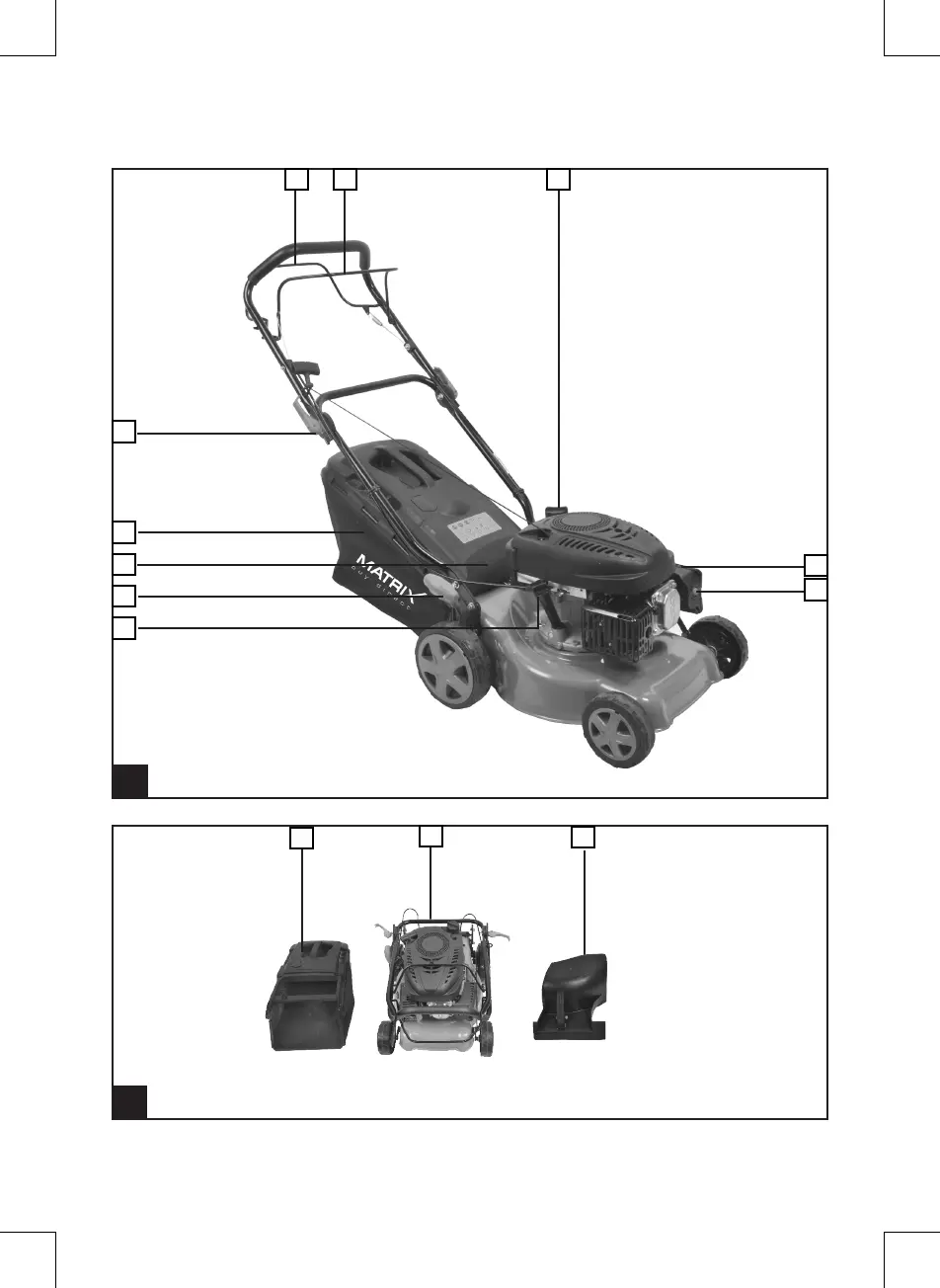 Page #2 background image