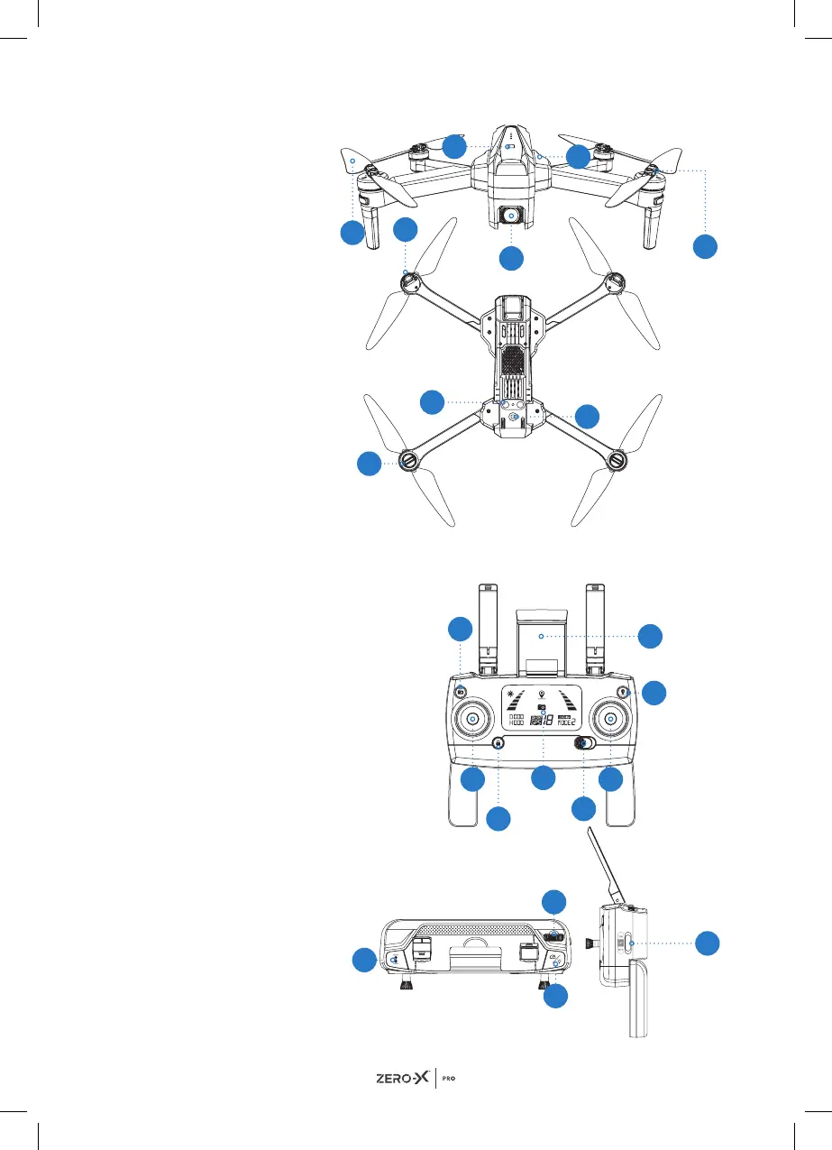 Page #8 background image