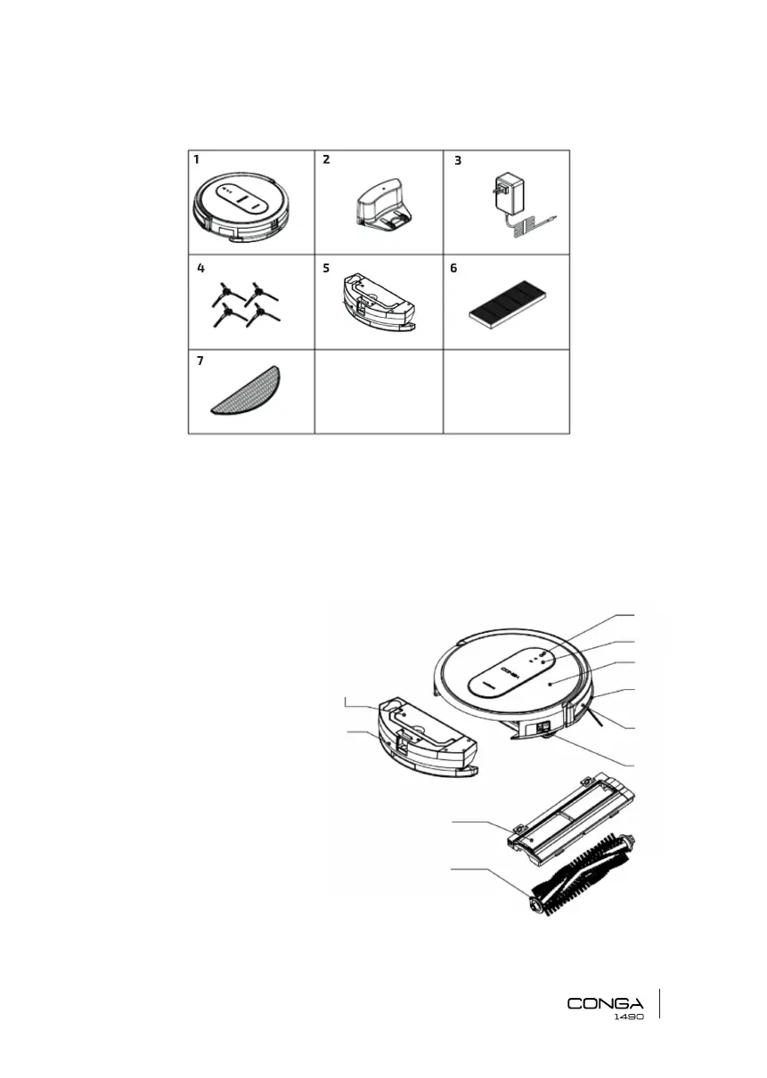 Page #5 background image