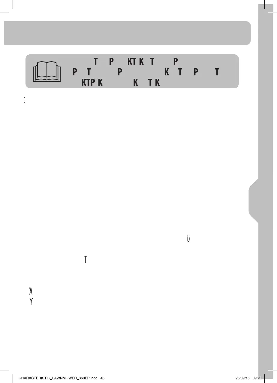 Page #43 background image