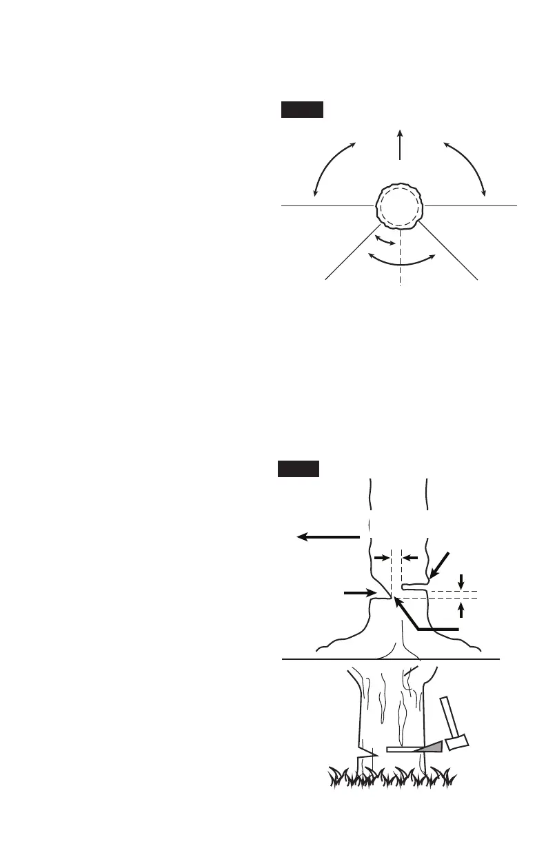 Page #98 background image