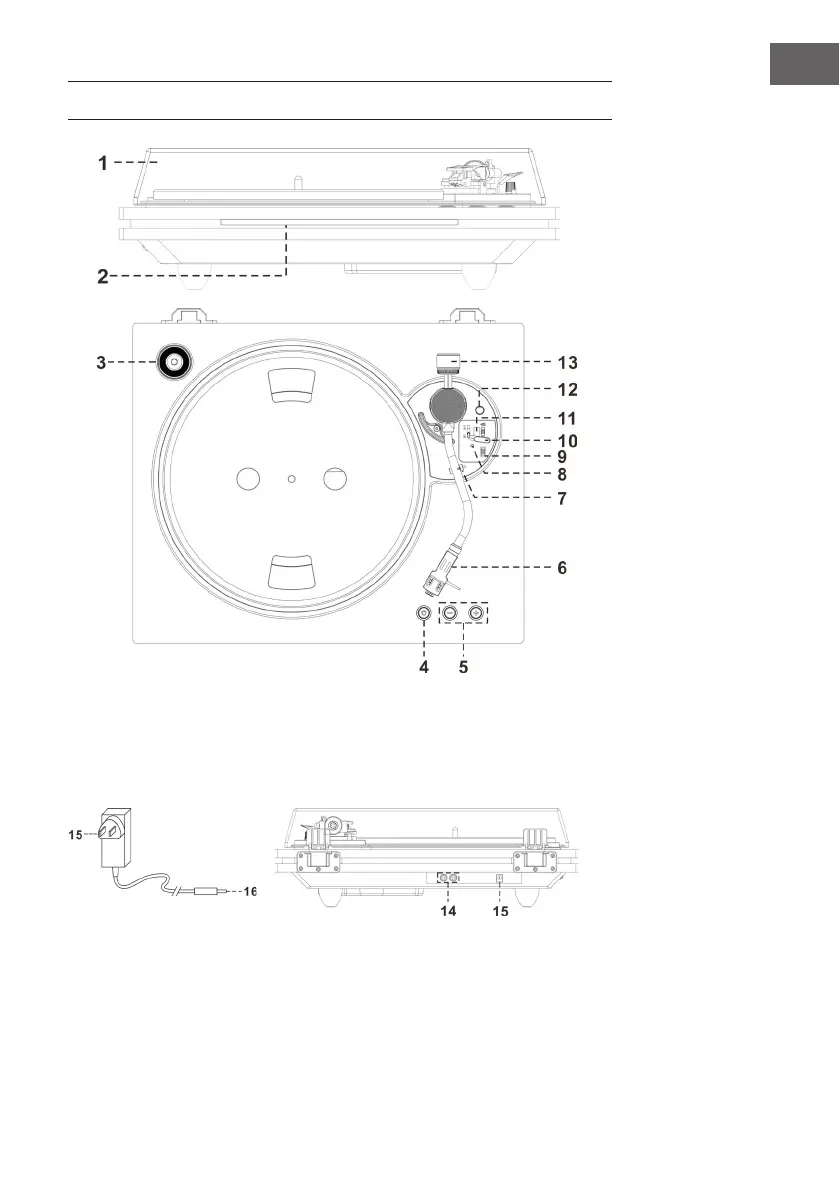 Page #37 background image