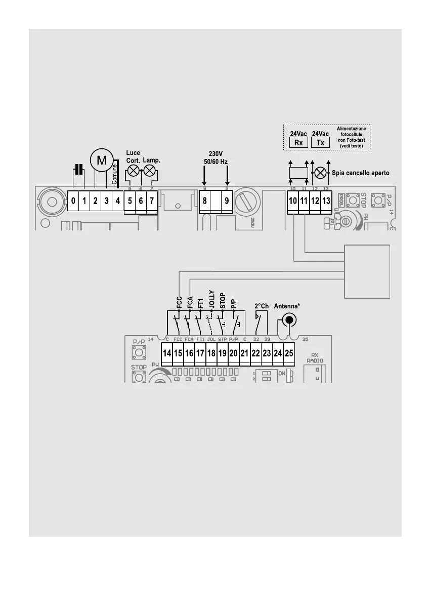 Page #3 background image