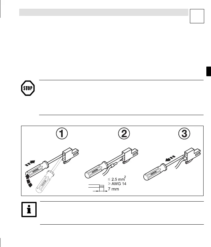 Page #61 background image