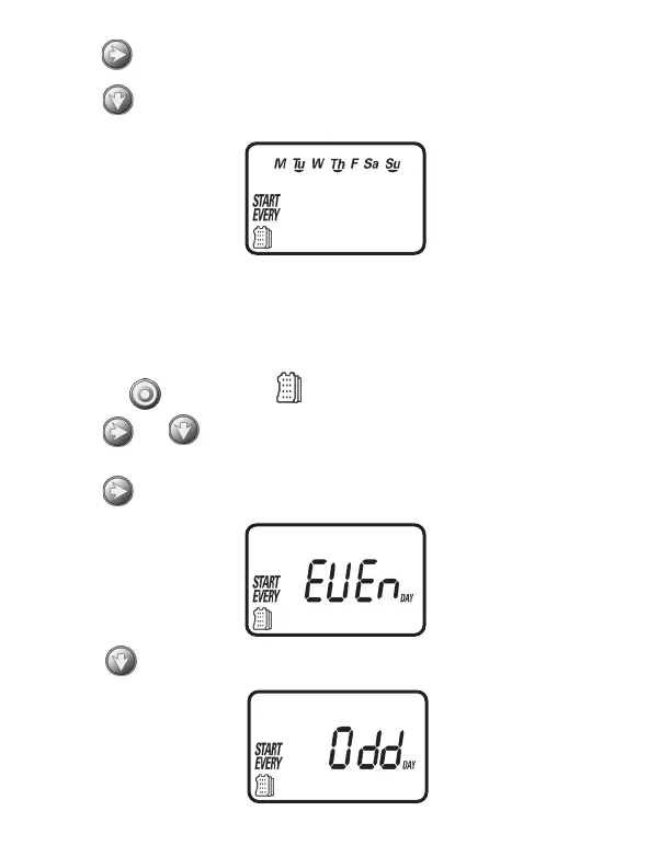 Page #13 background image
