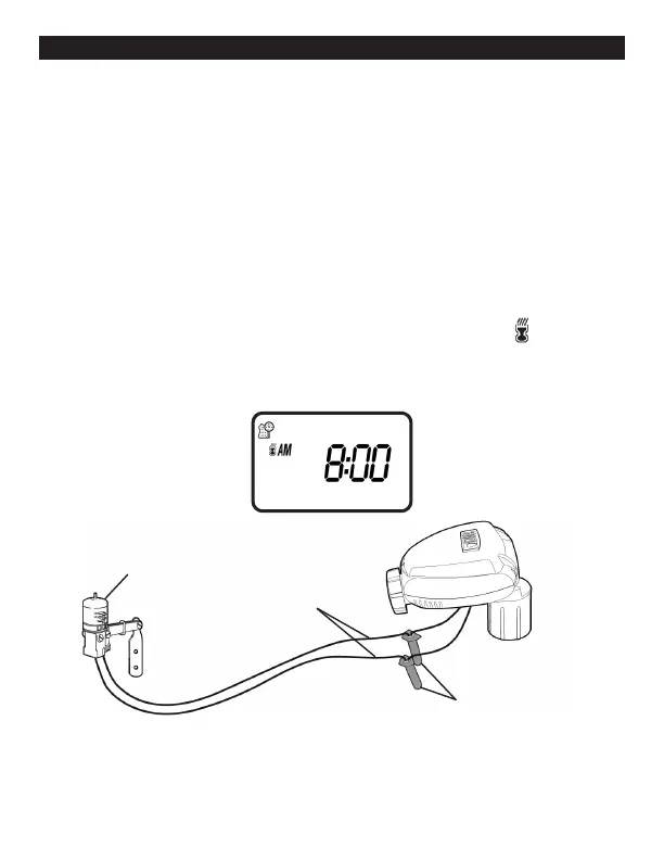 Page #31 background image