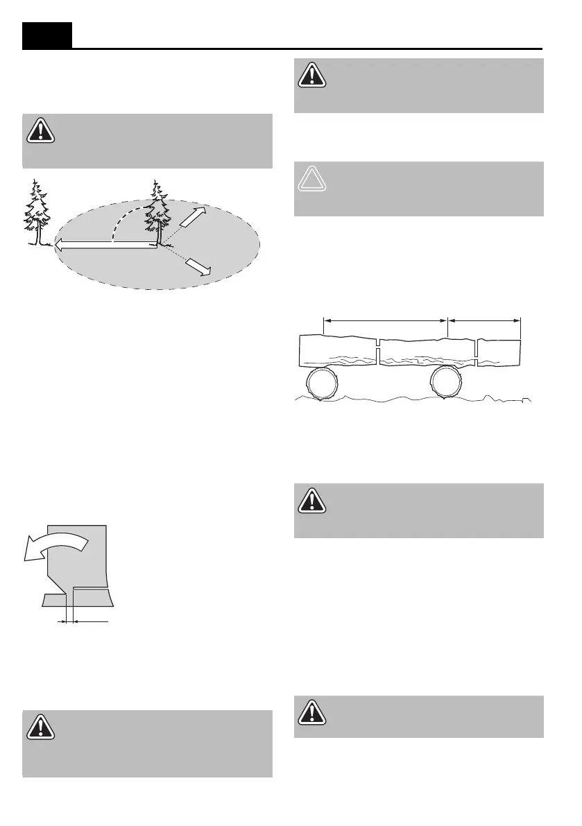 Page #118 background image