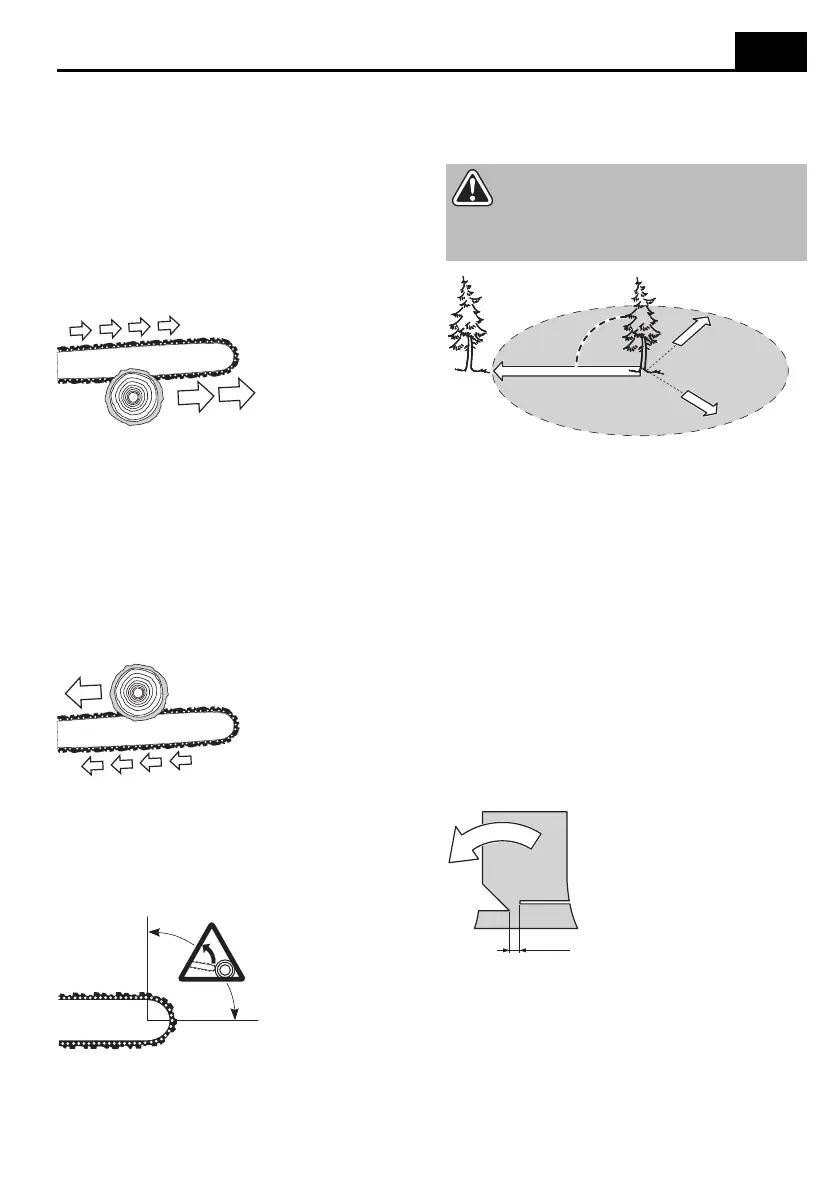 Page #171 background image