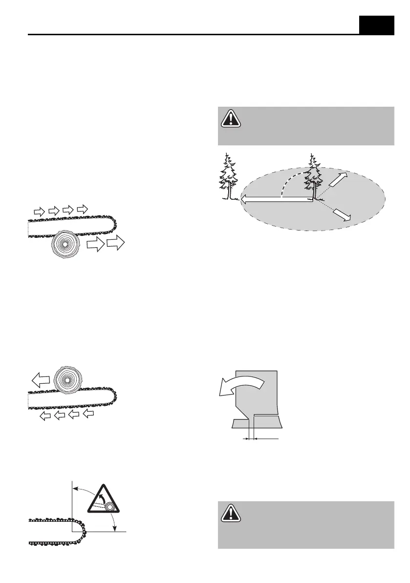 Page #183 background image