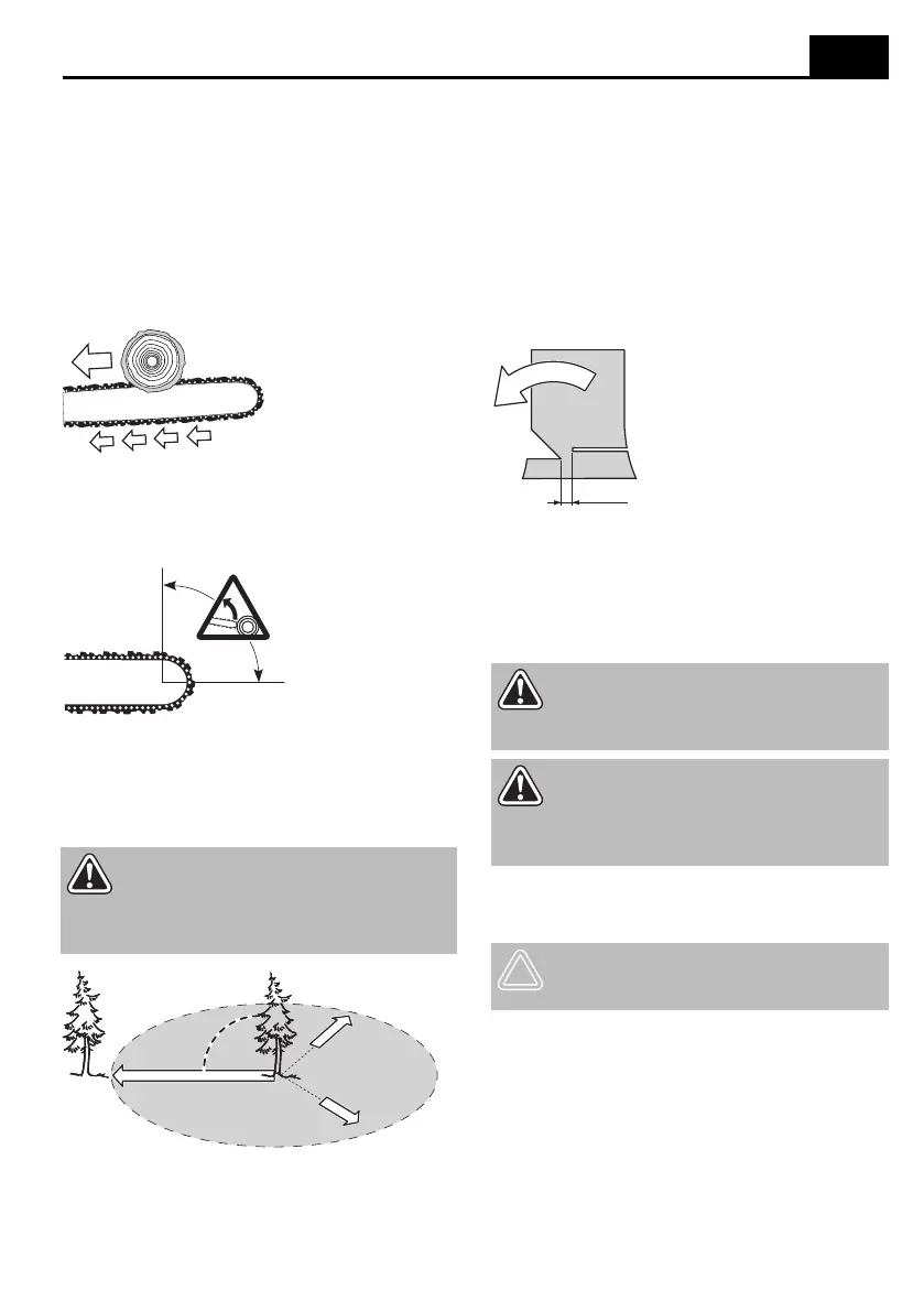 Page #195 background image