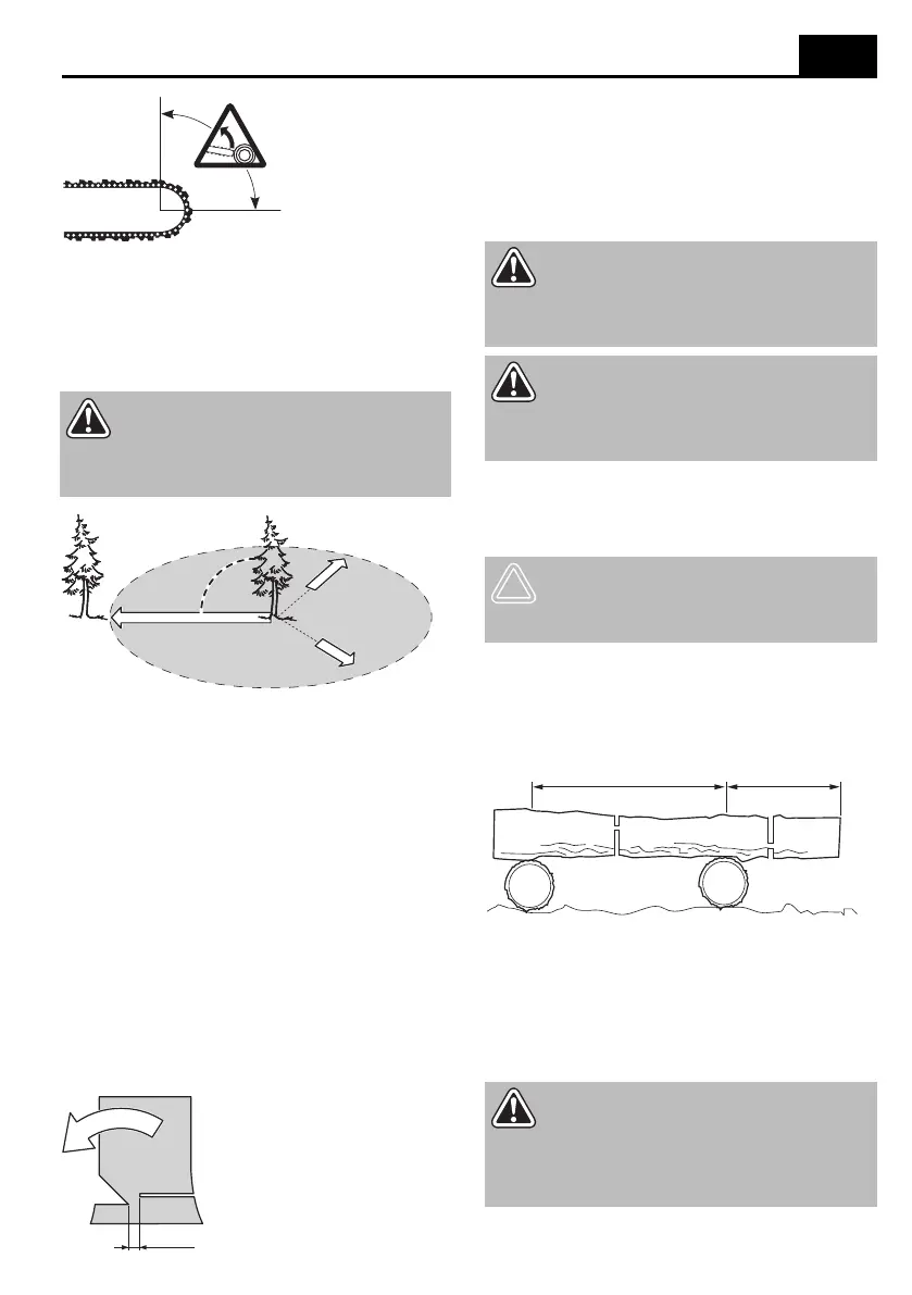 Page #209 background image