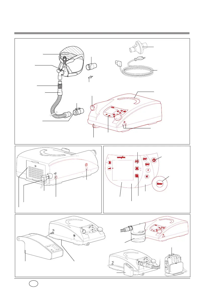 Page #2 background image