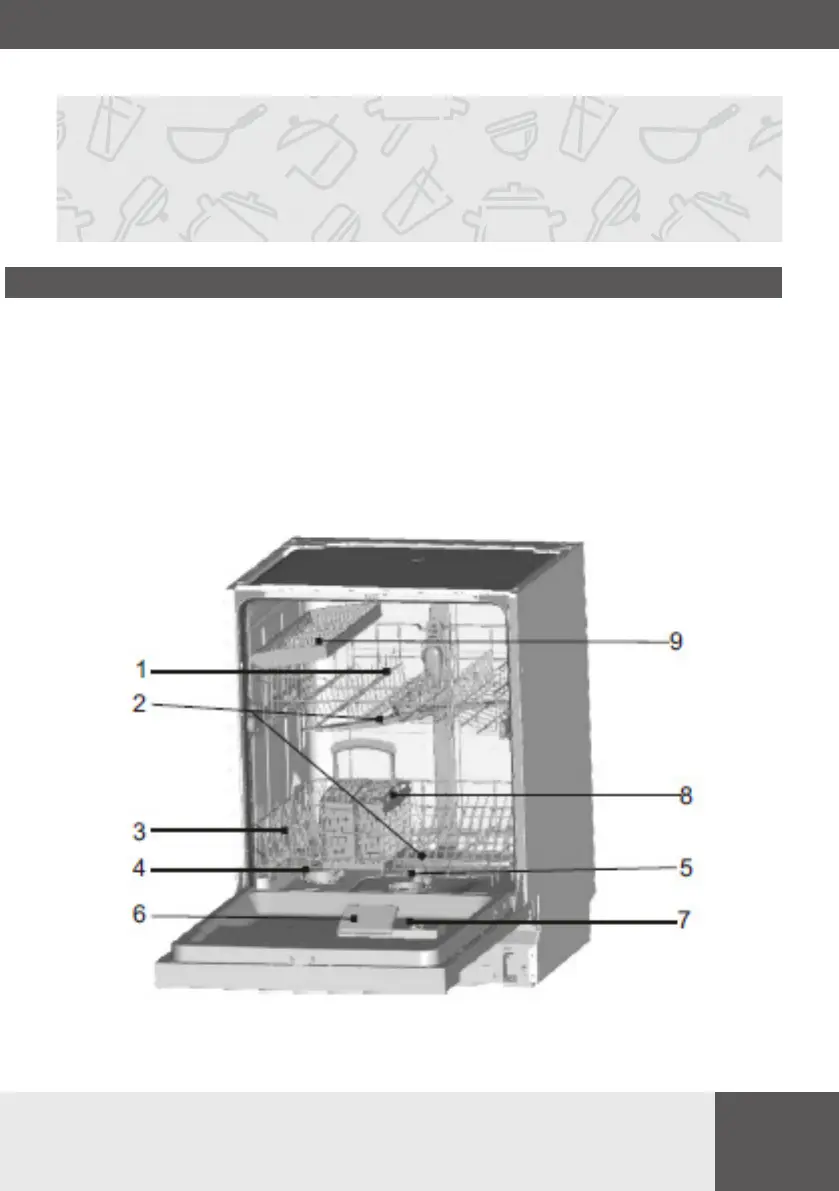 Page #13 background image