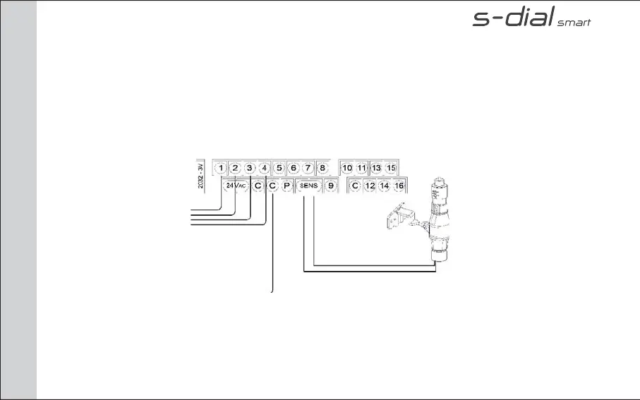 Page #20 background image