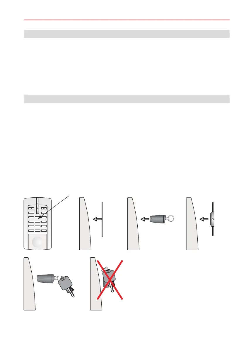 Page #19 background image