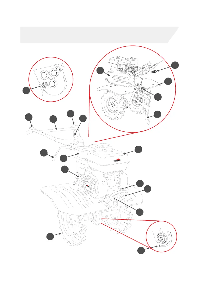 Page #8 background image