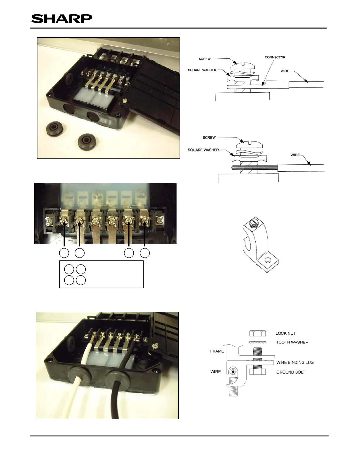 Page #4 background image