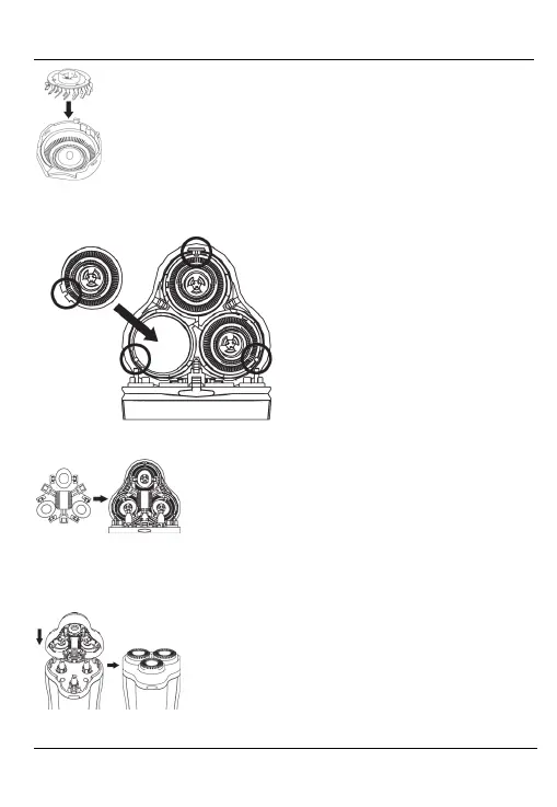 Page #37 background image