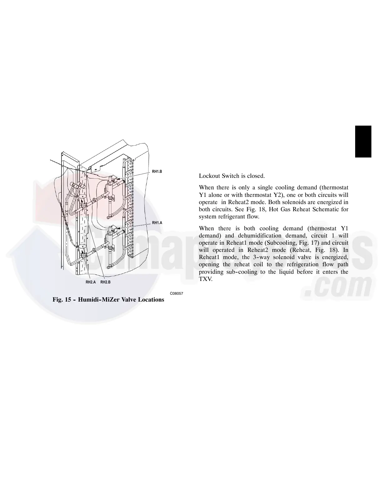 Page #13 background image