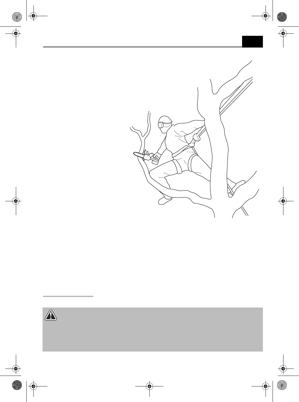 Page #271 background image