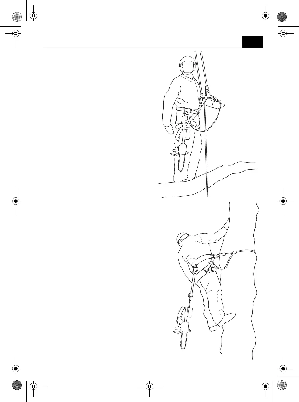 Page #297 background image