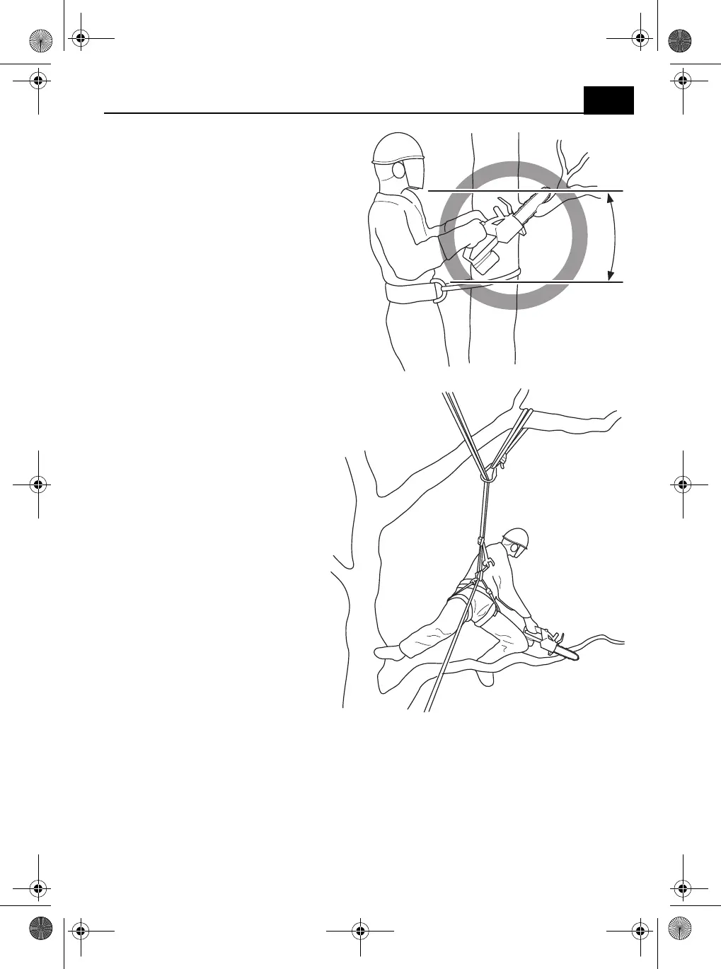 Page #299 background image