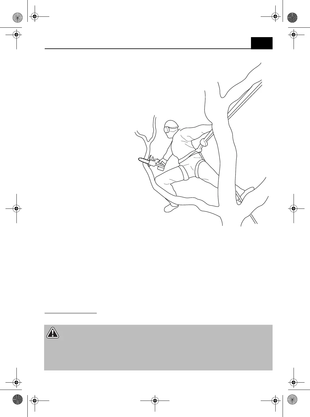 Page #301 background image