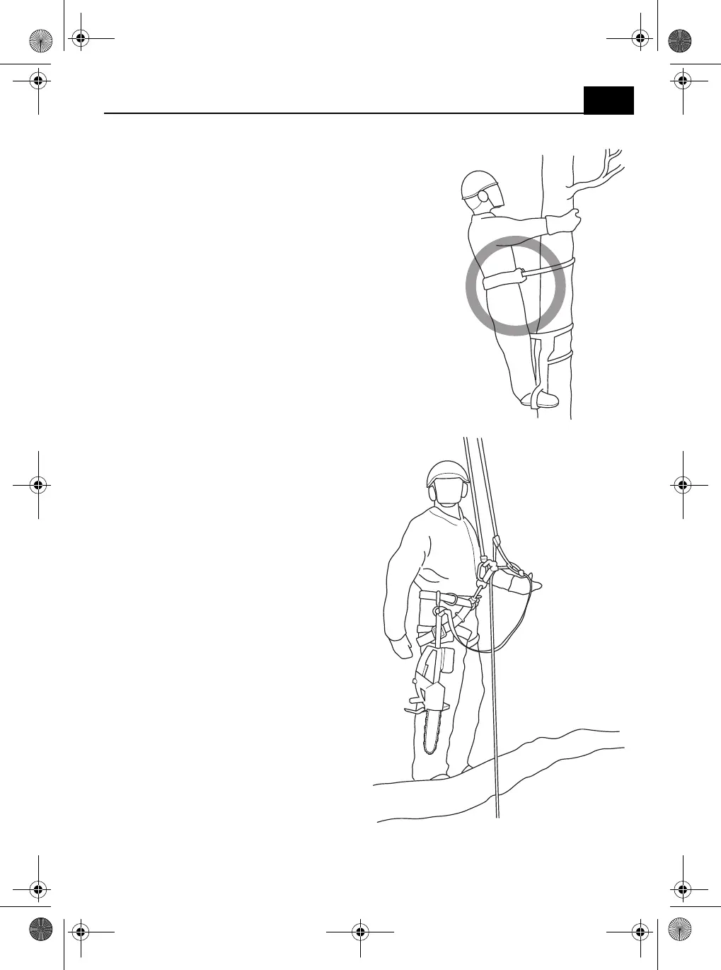 Page #327 background image