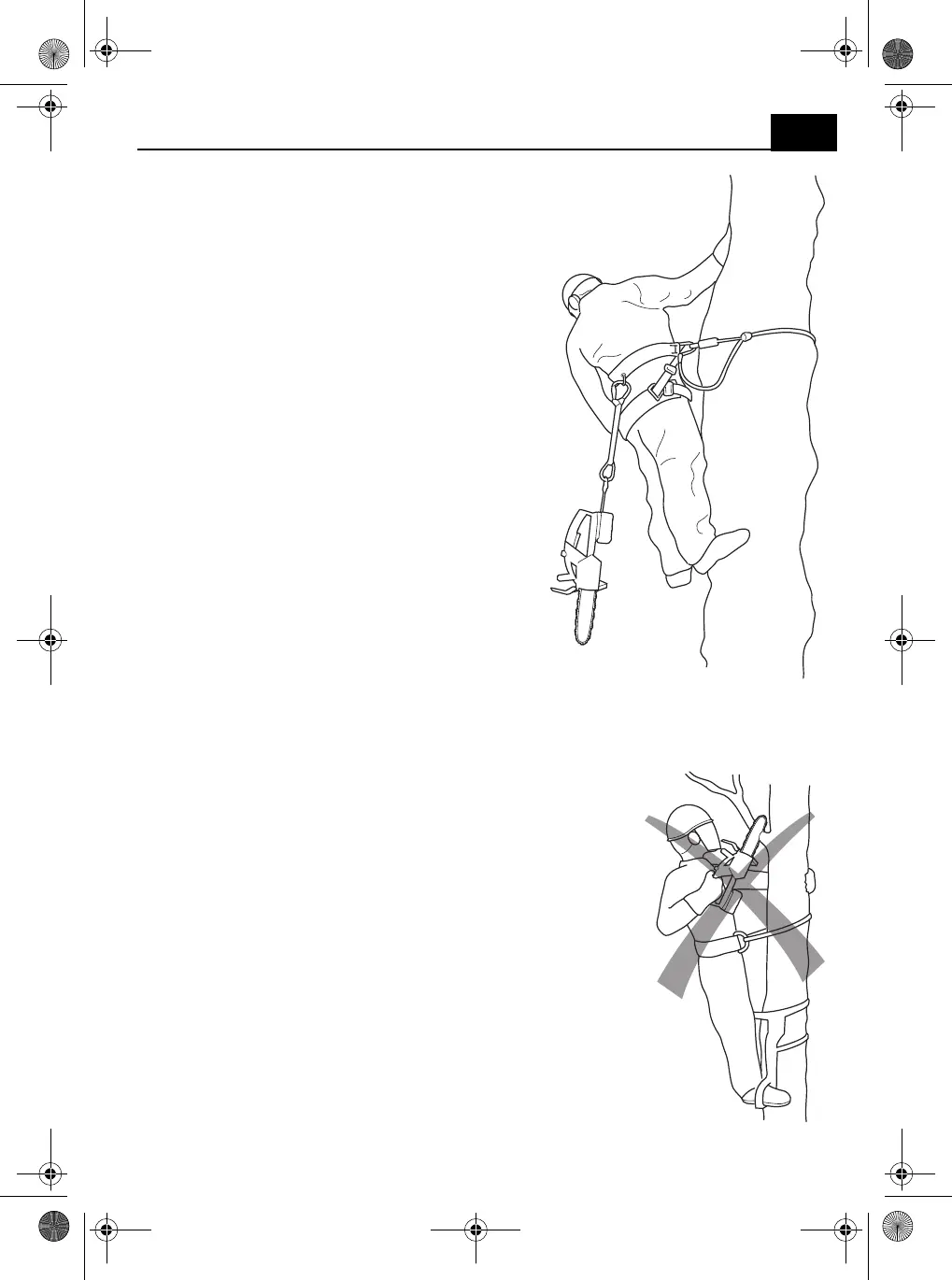 Page #359 background image