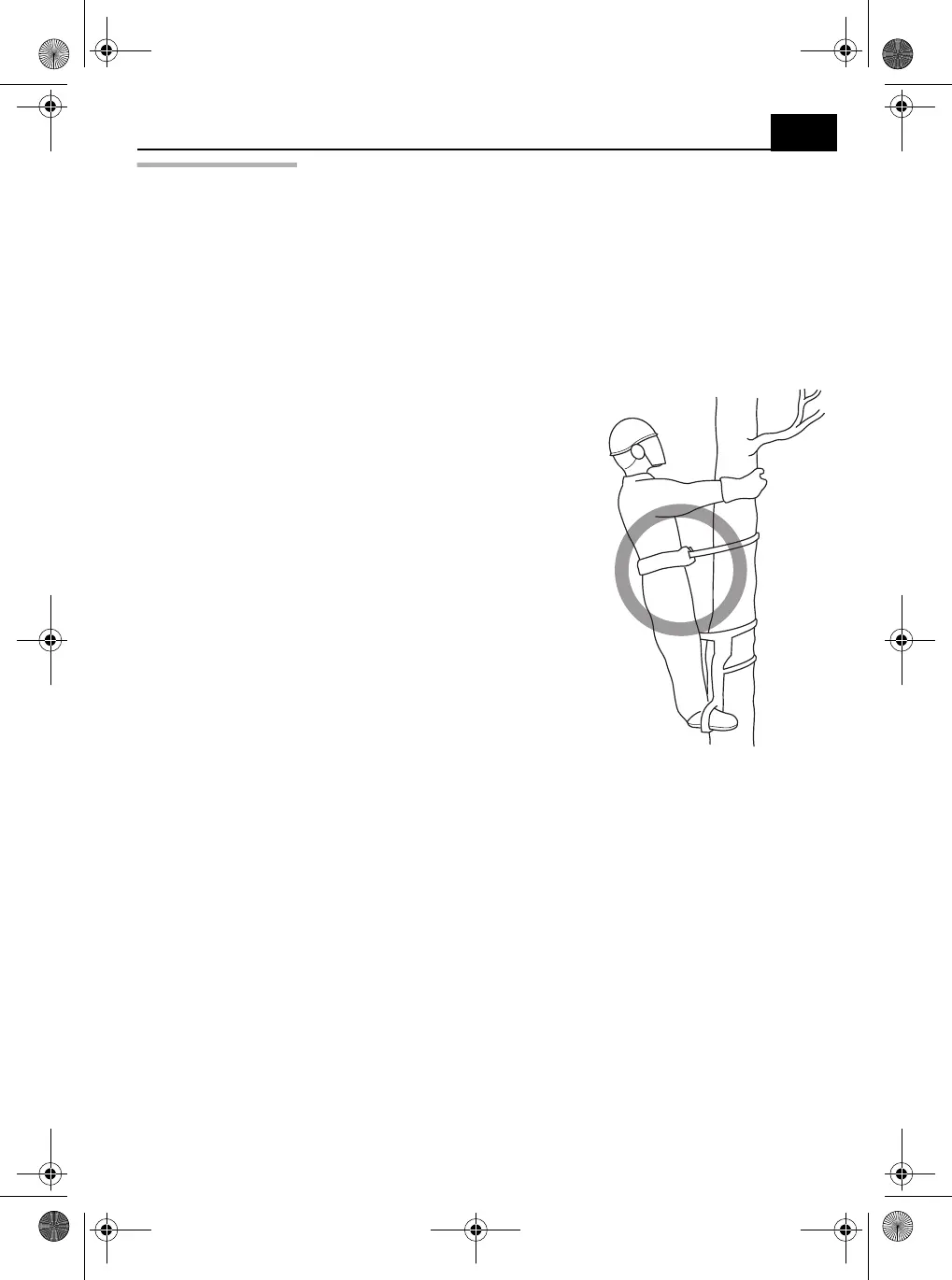Page #205 background image