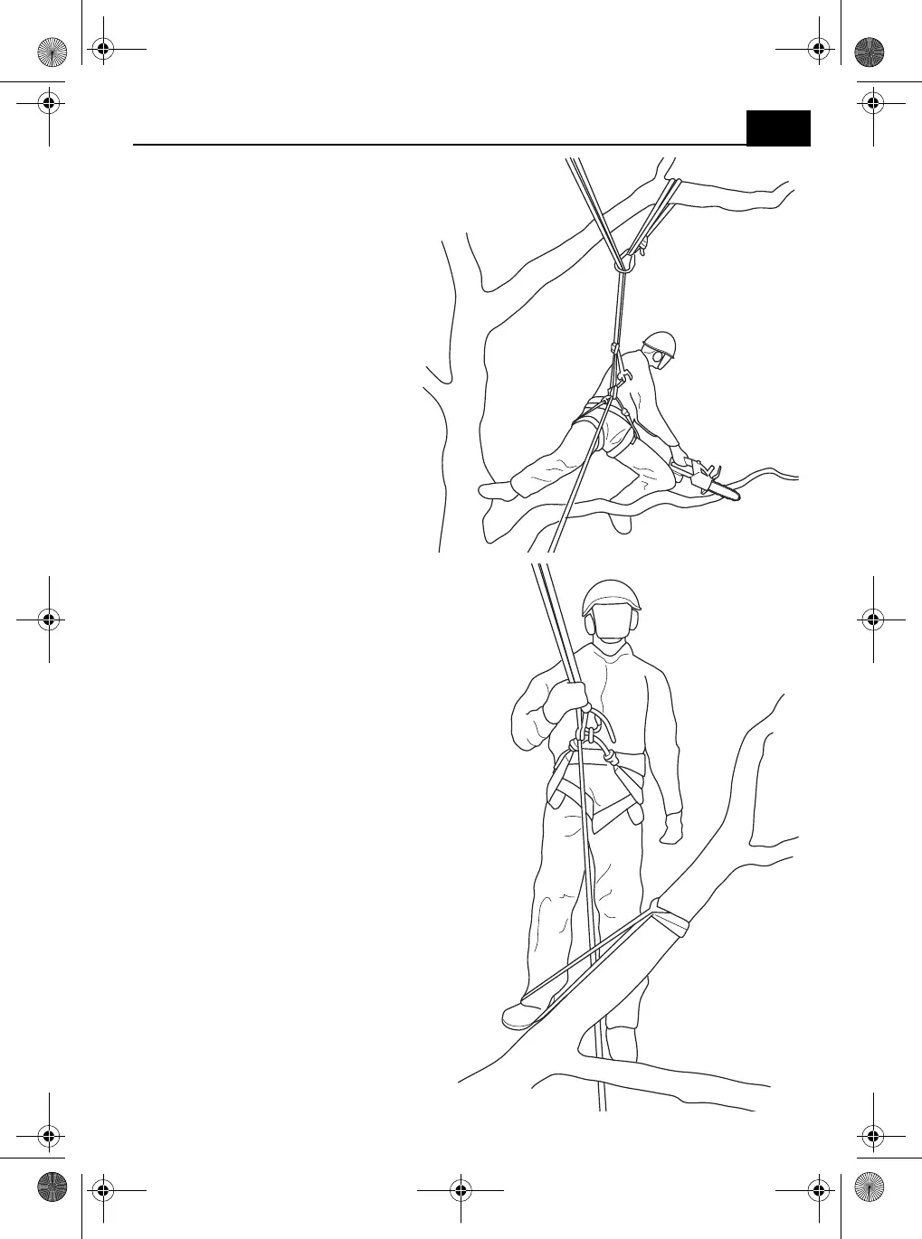 Page #209 background image