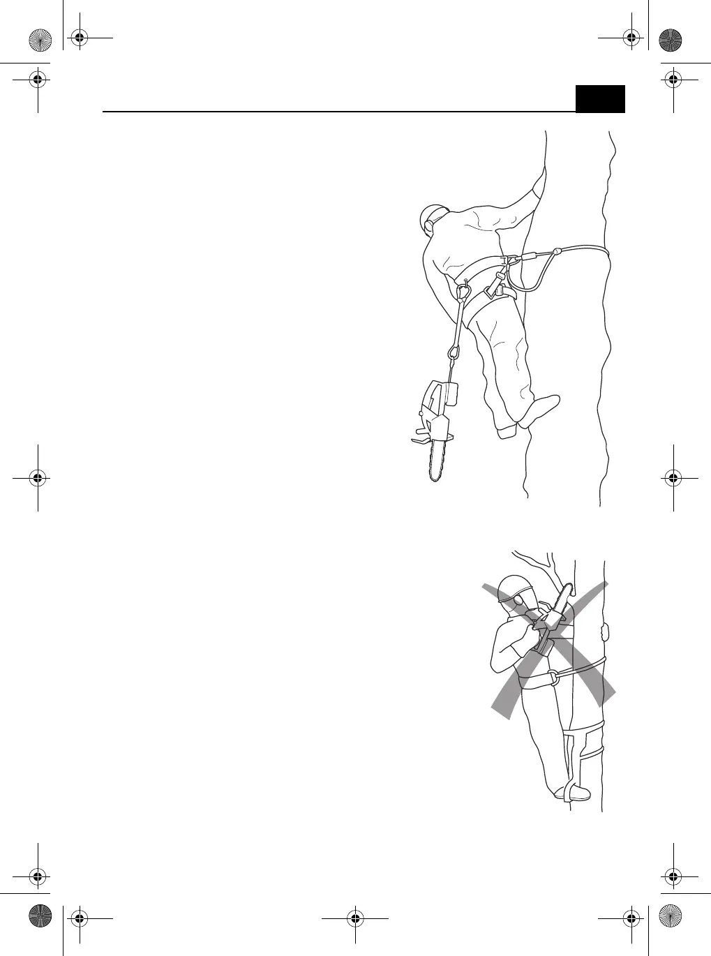 Page #237 background image