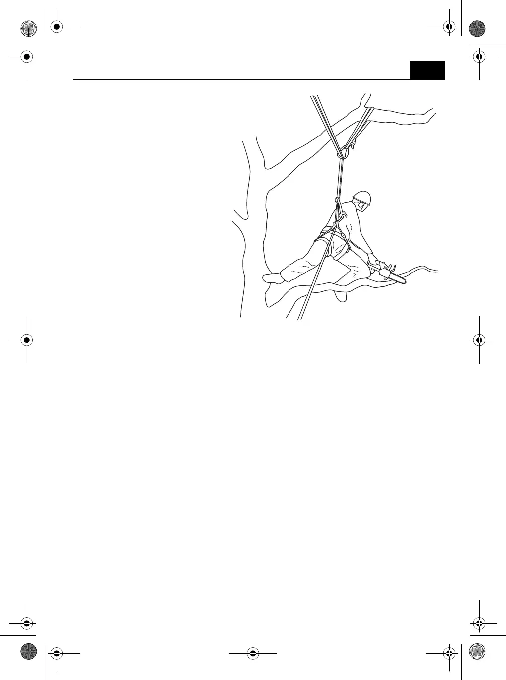 Page #239 background image
