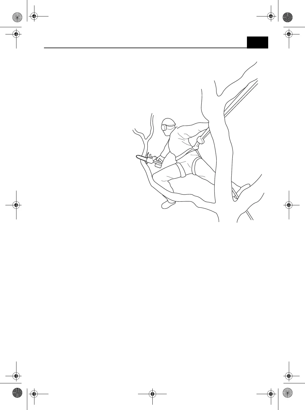 Page #241 background image