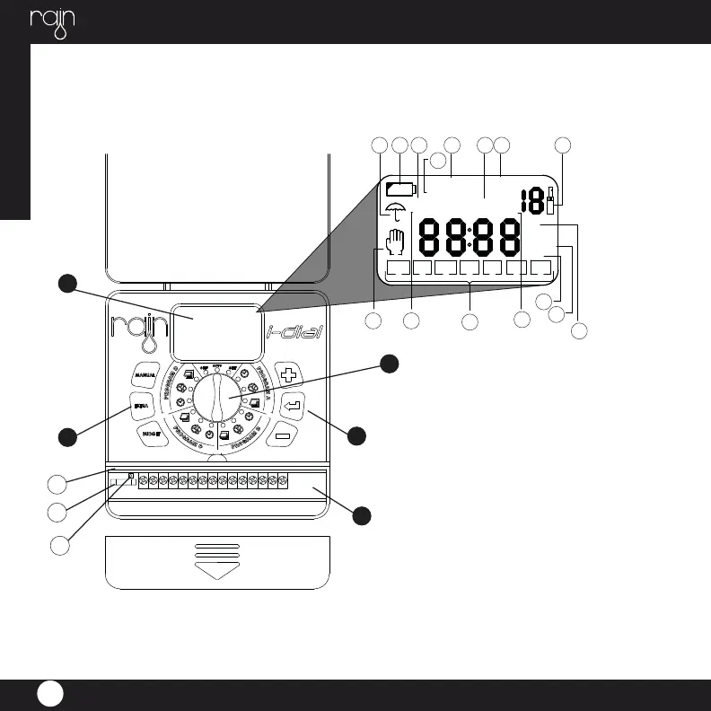 Page #5 background image
