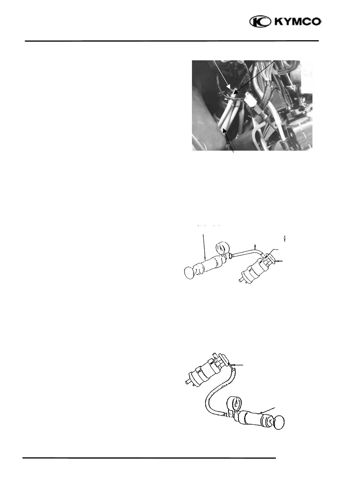 Page #245 background image