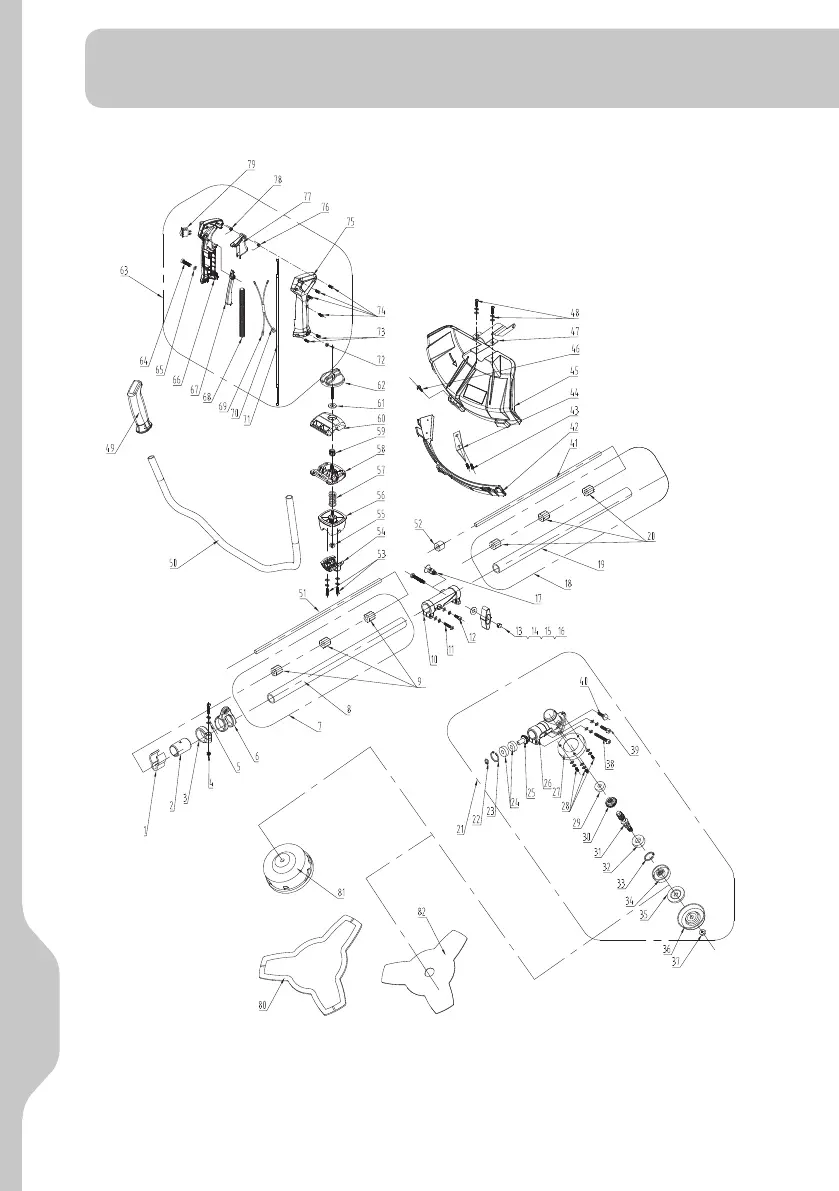 Page #260 background image