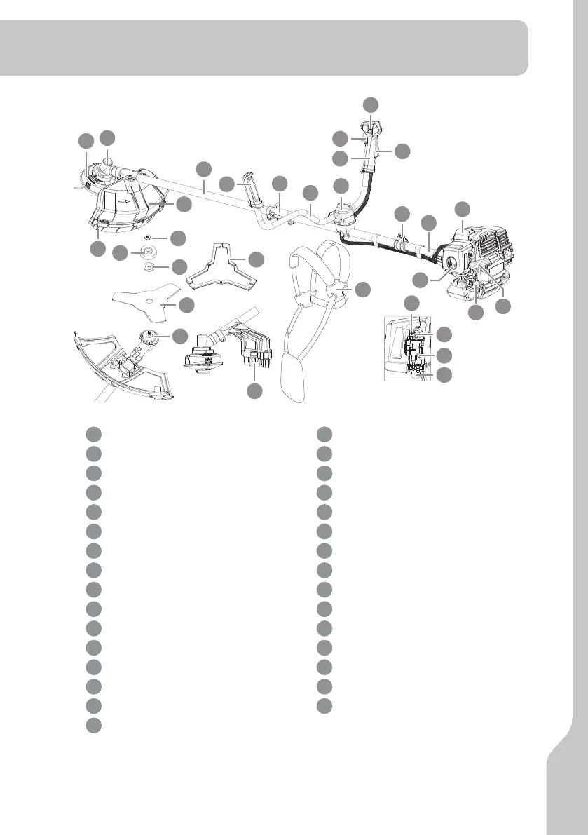 Page #275 background image