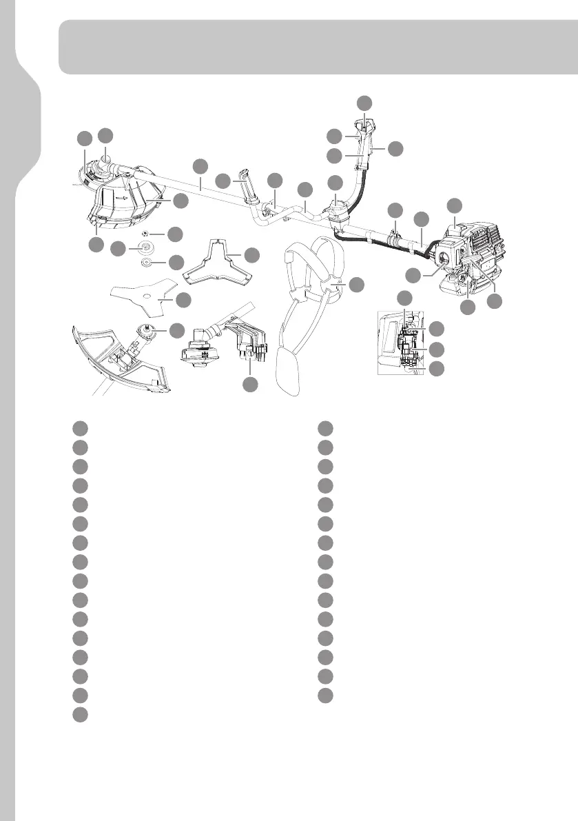 Page #48 background image