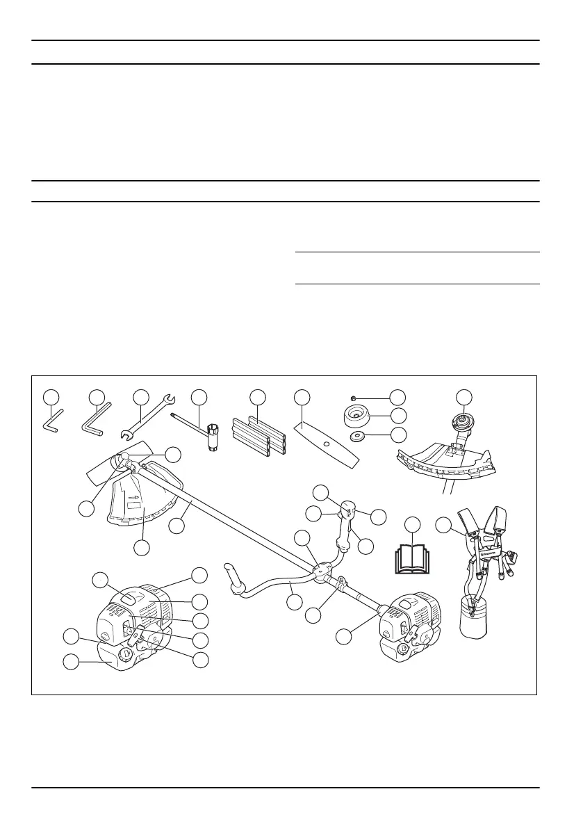 Page #2 background image