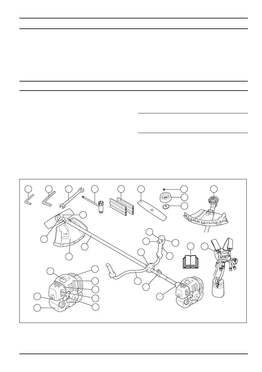 Page #49 background image