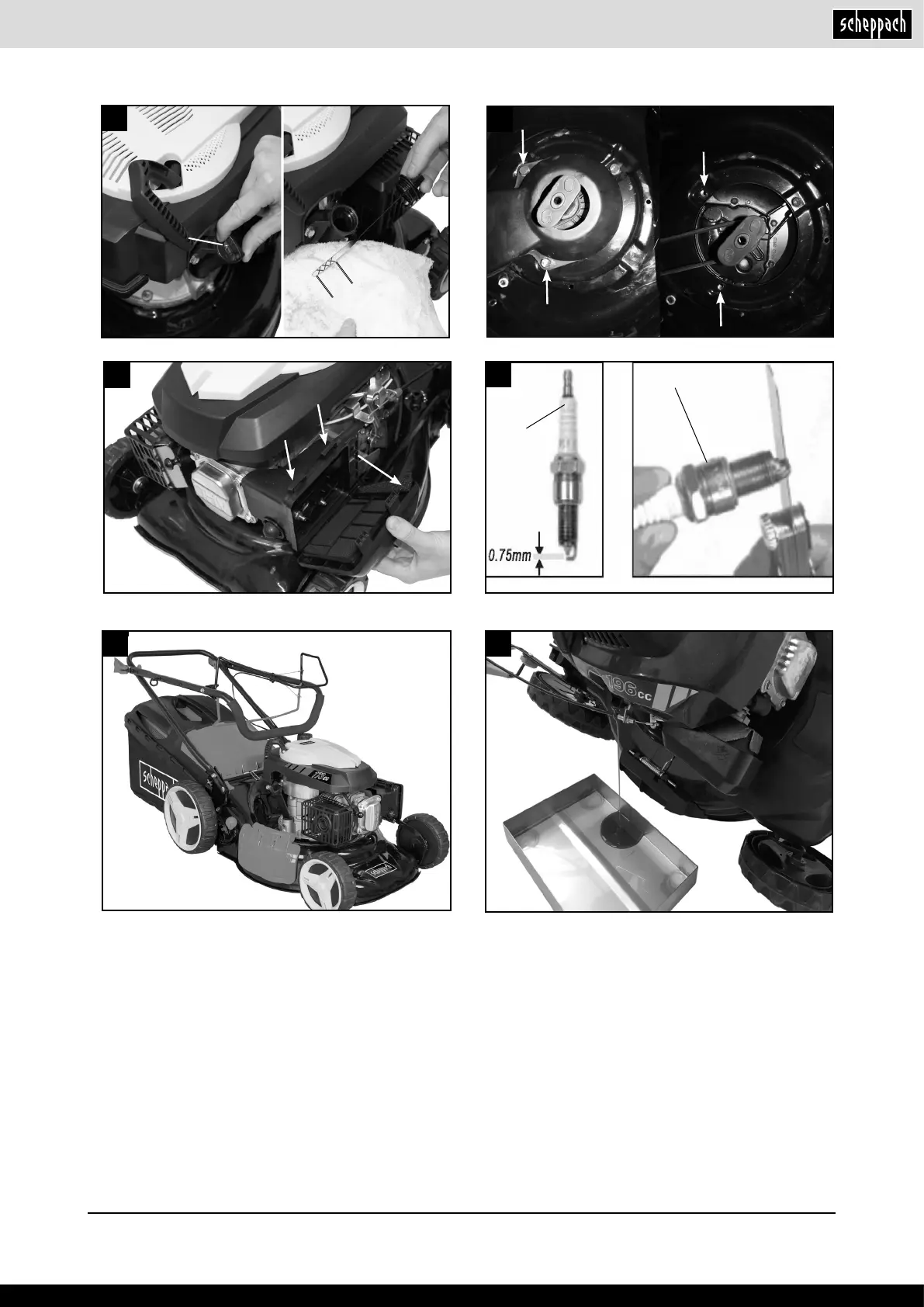 Page #5 background image