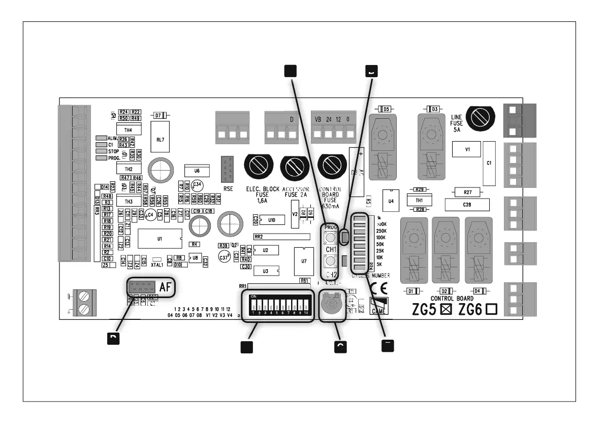 Page #2 background image