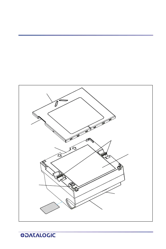 Page #5 background image