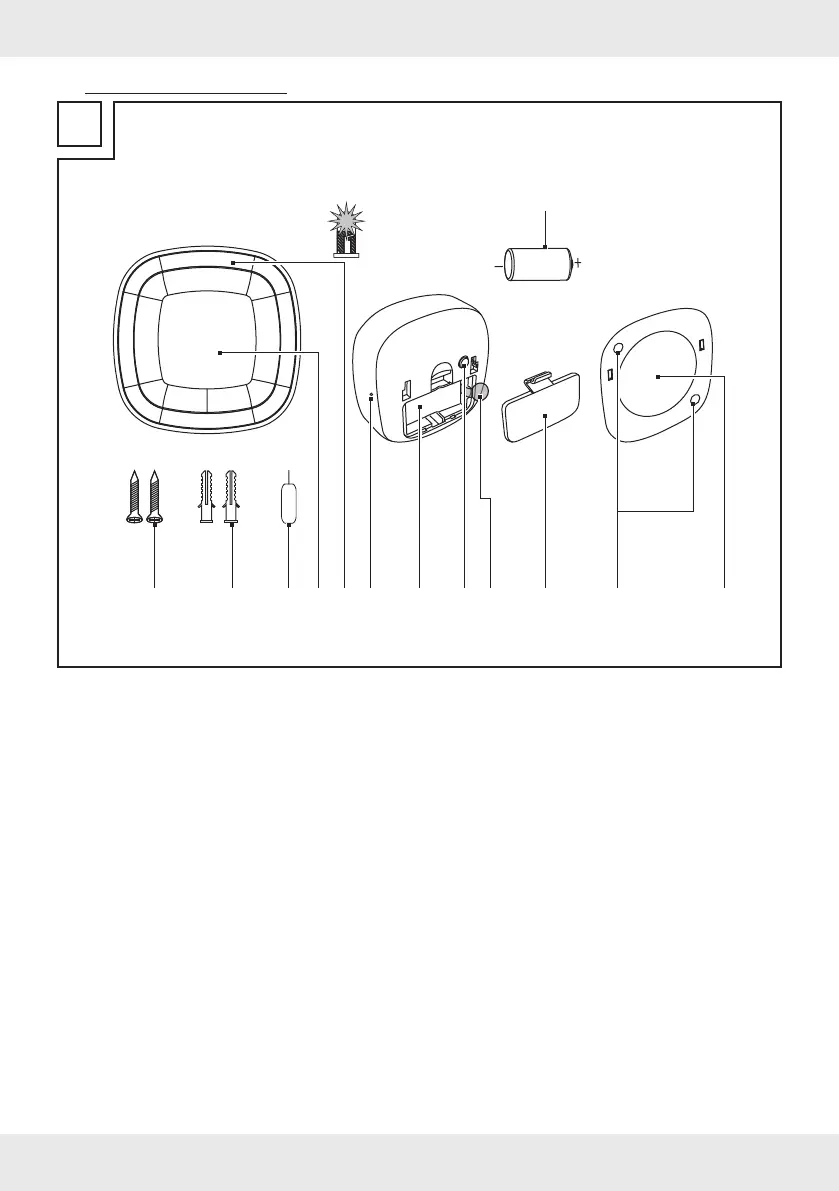 Page #7 background image
